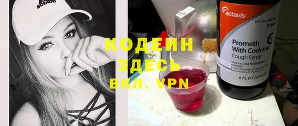 молекула духа Лабытнанги