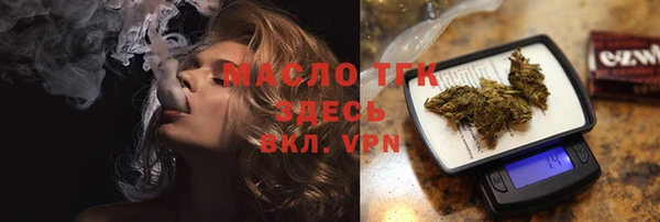 крисы Кулебаки