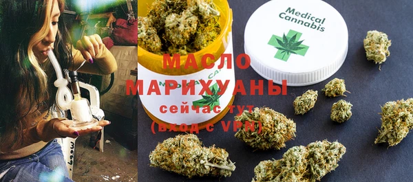 крисы Кулебаки
