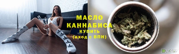 крисы Кулебаки