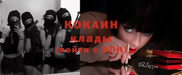 крисы Кулебаки