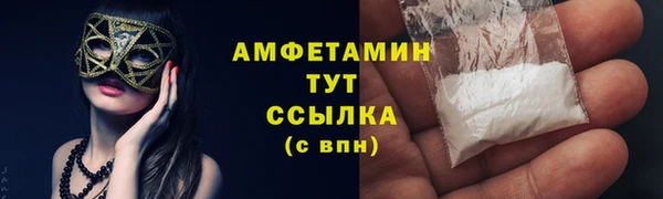 крисы Кулебаки