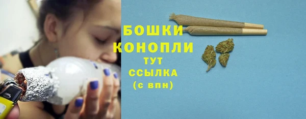 крисы Кулебаки