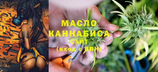 крисы Кулебаки