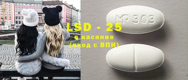 крисы Кулебаки