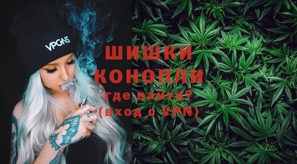 крисы Кулебаки