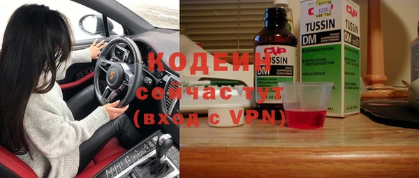 молекула духа Лабытнанги